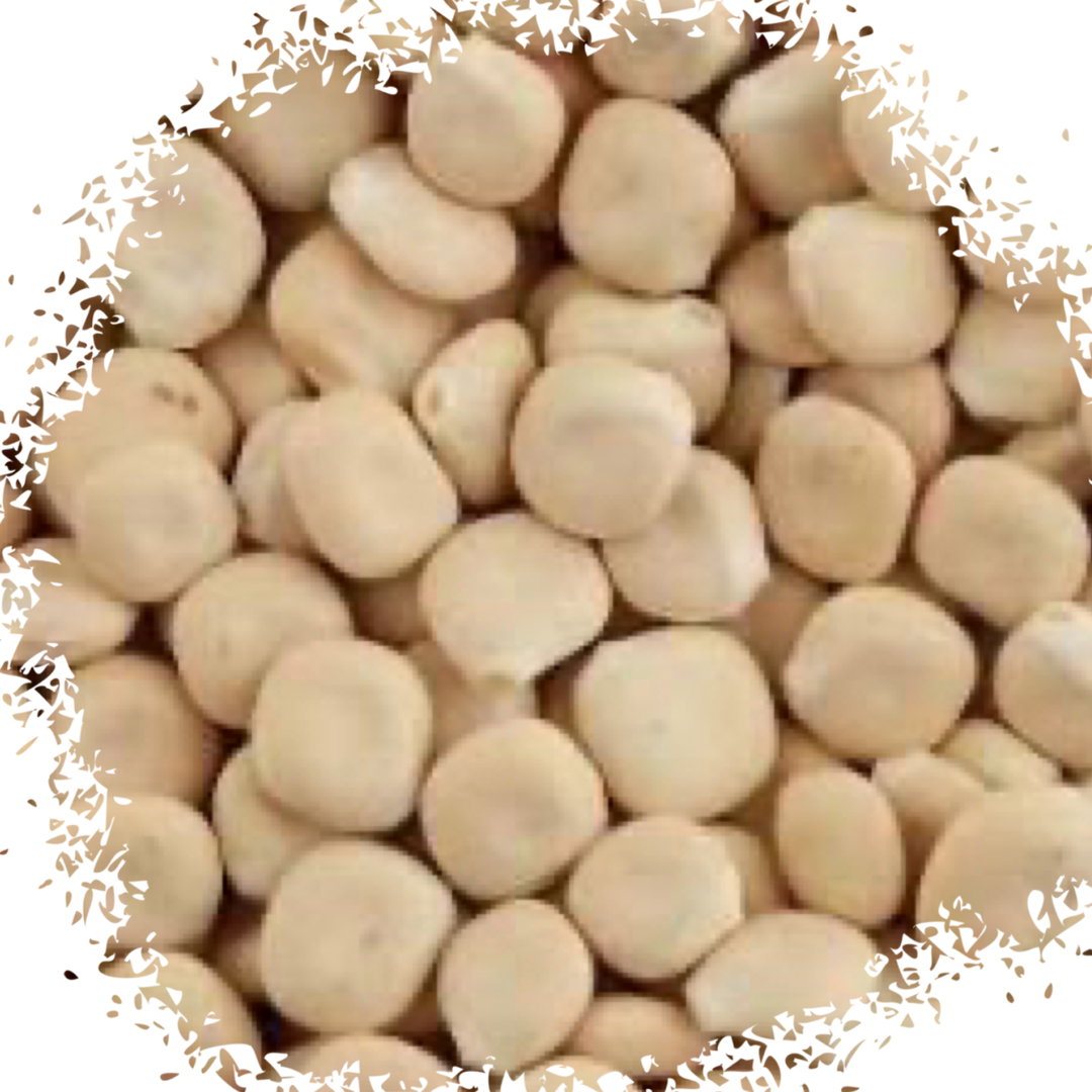 Sweet lupins ترمس حلو