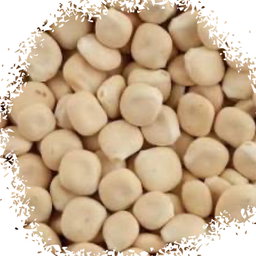 Sweet lupins ترمس حلو