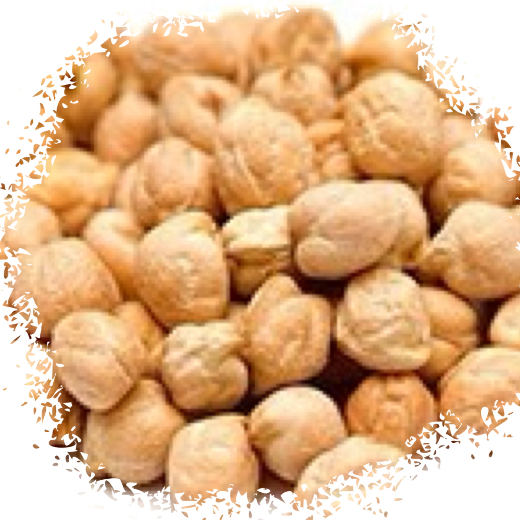 Mexican jumbo chickpeas حمص مكسيكي جامبو_0