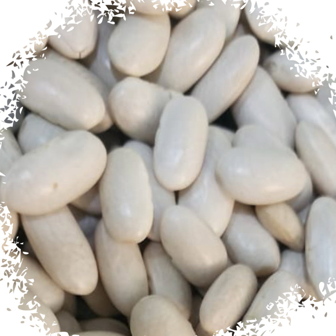 Barlotti beans فاصوليا صنوبريه