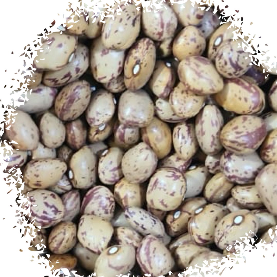 Red beans فاصوليه حمرا