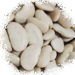 Broad beans فاصوليه عريضه