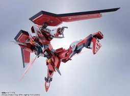 Metal Robot Spirits -SIDE MS- Immortal Justice Gundam "Mobile Suit Gundam SEED Freedom"