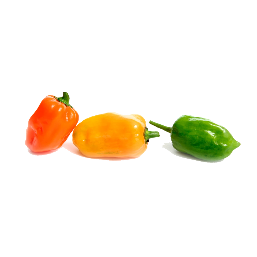 Chile Habanero Grande