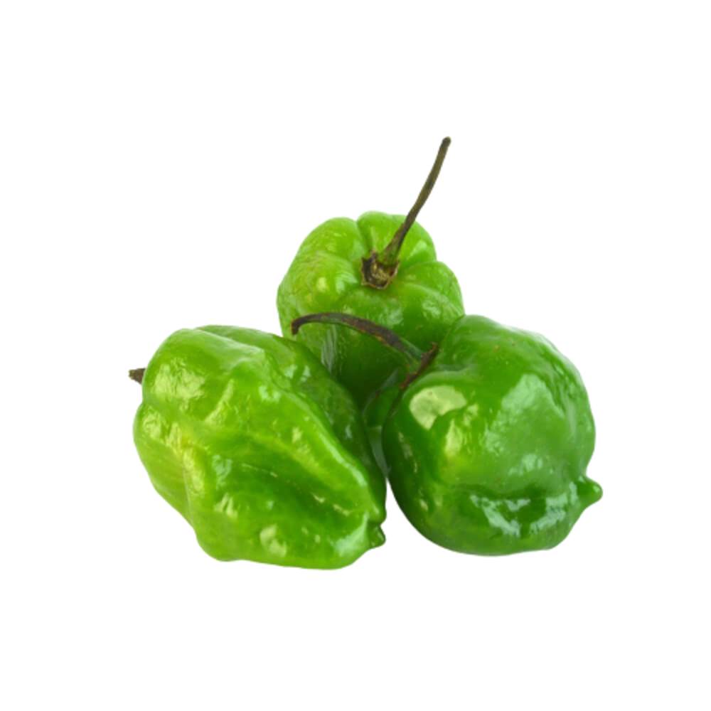 Chile Habanero Verde_0