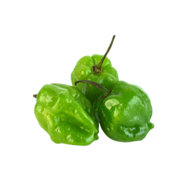 Chile Habanero Verde