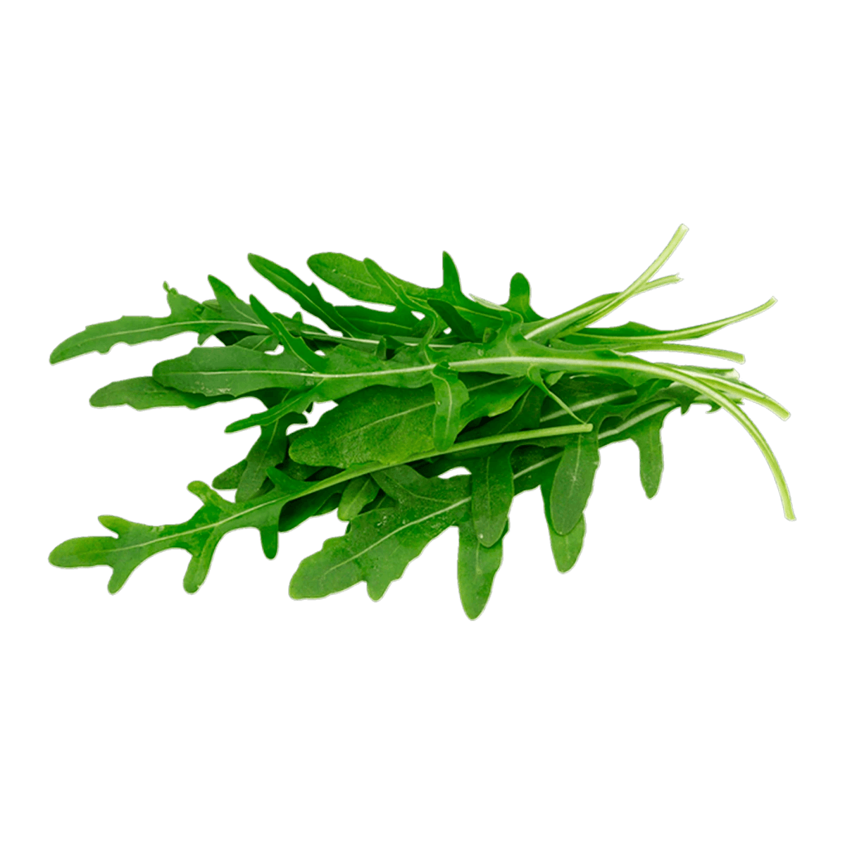 Arugula_0