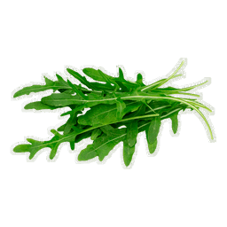 Arugula