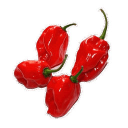 Chile Habanero Rojo