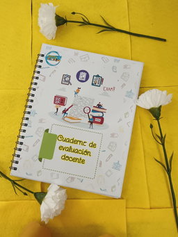 Registro de Evaluación ( 4 grupos)