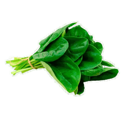 Espinaca en manojo