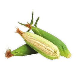 Elote Blanco pieza