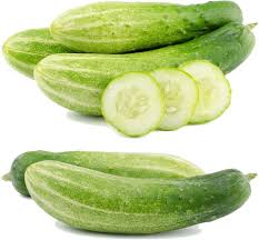 Cucumber(Matango)