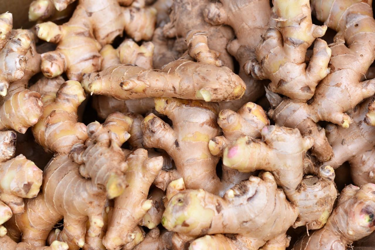 Ginger_2
