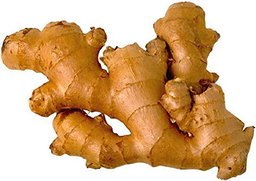 Ginger
