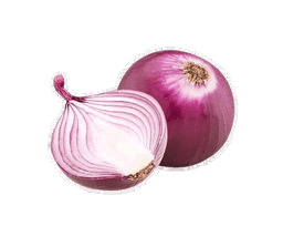 Cebolla Morada