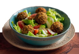 Falafel Salad سلطة الفلافل