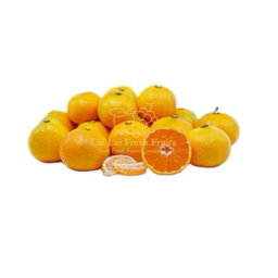 Japan Fukuoka Mikan