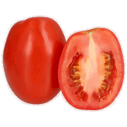 Tomate Saladette