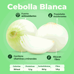 Cebolla Blanca