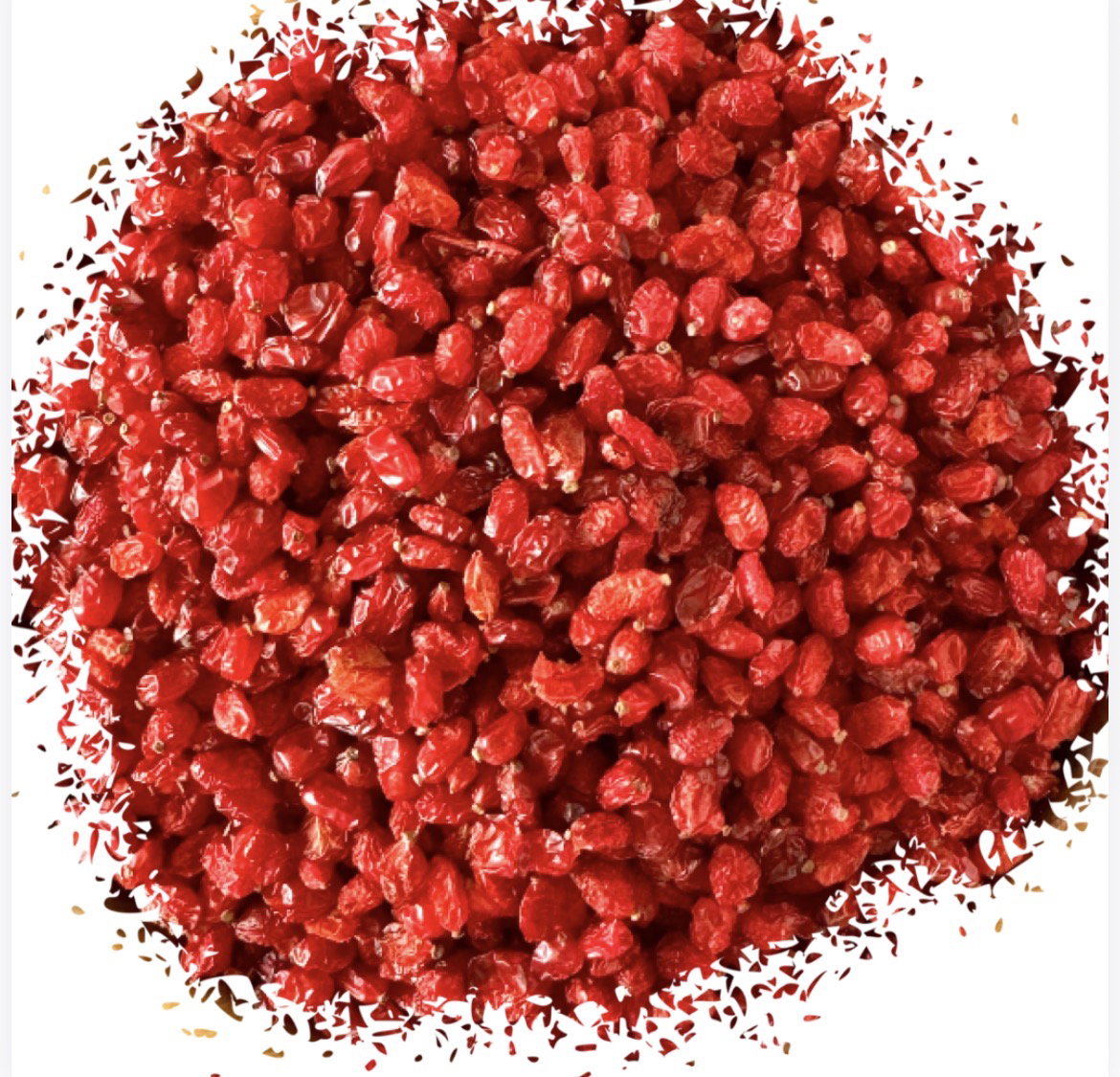 Barberry زرشك_0