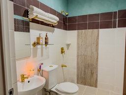 Premium Private Room (Sleeps 12)