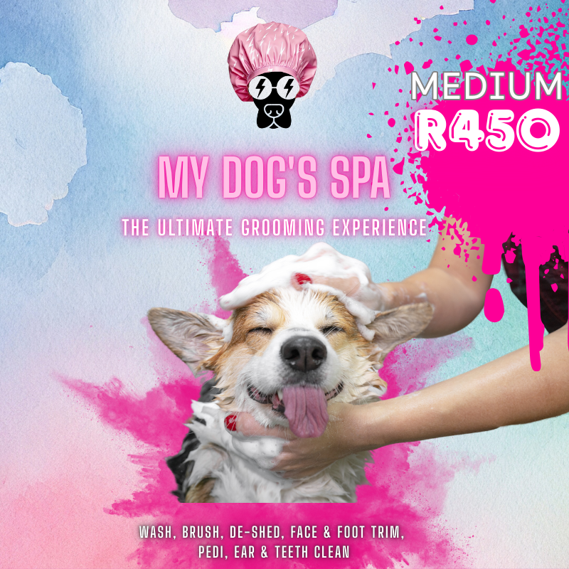 The Ultimate Grooming Experience _2