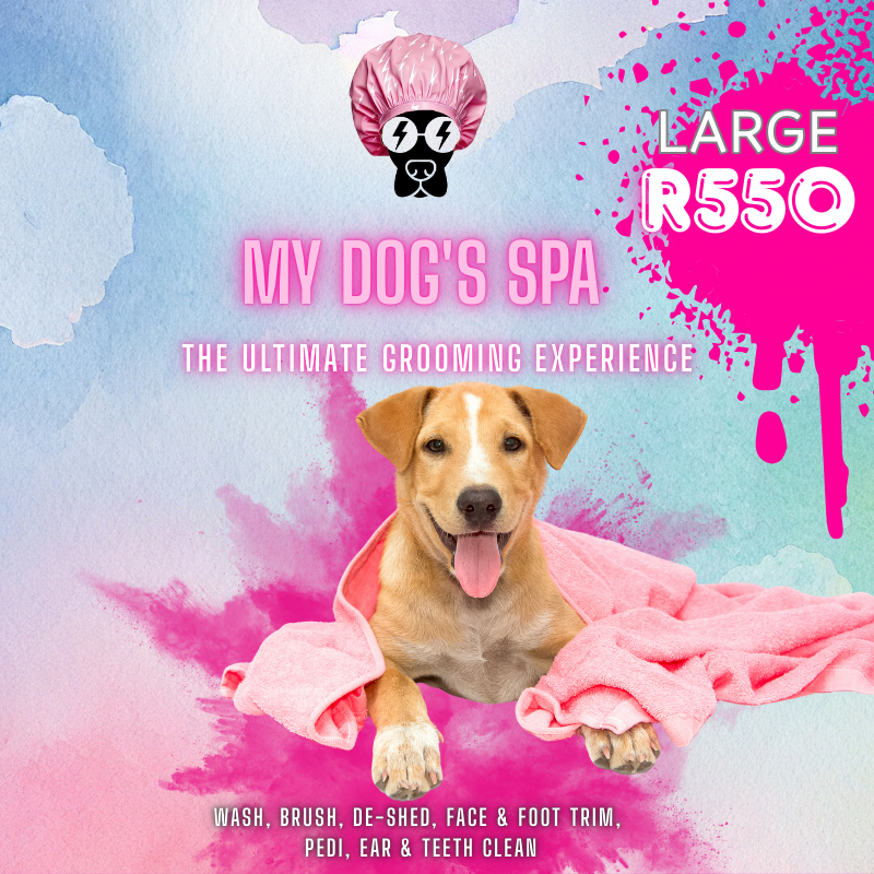 The Ultimate Grooming Experience _3