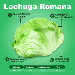 Lechuga Romana Americana