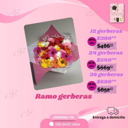 RAMO GERBERAS