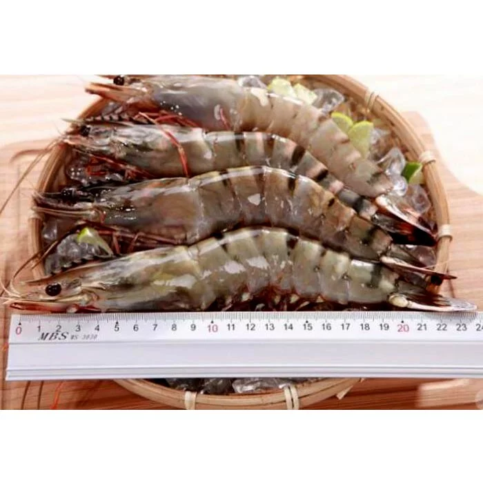 🇲🇾急凍馬來西亞沙巴大海蝦🦐 Sabah Frozen Premium Tiger Prawn  (10-12pcs)_1