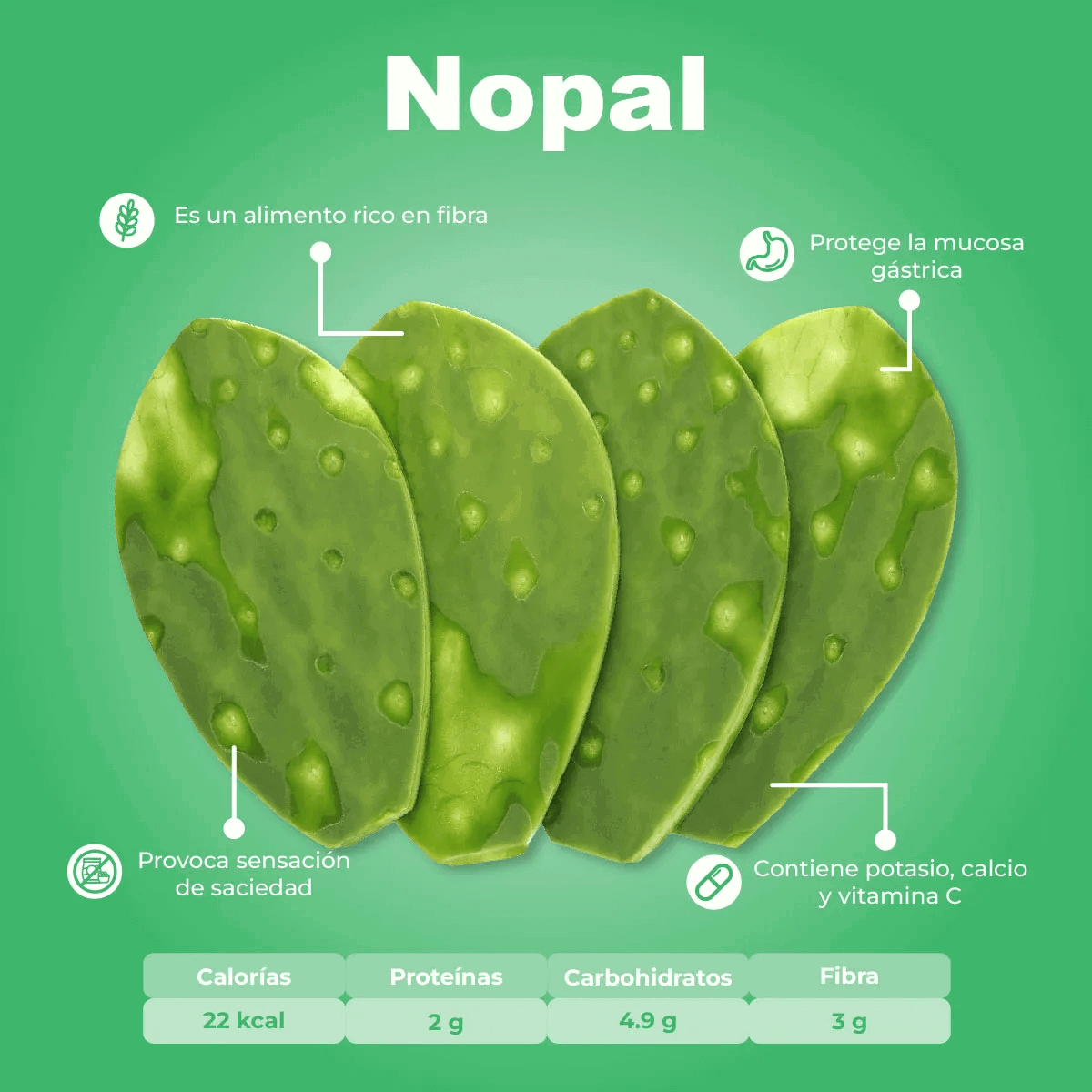 Hoja de Nopal Limpio_1