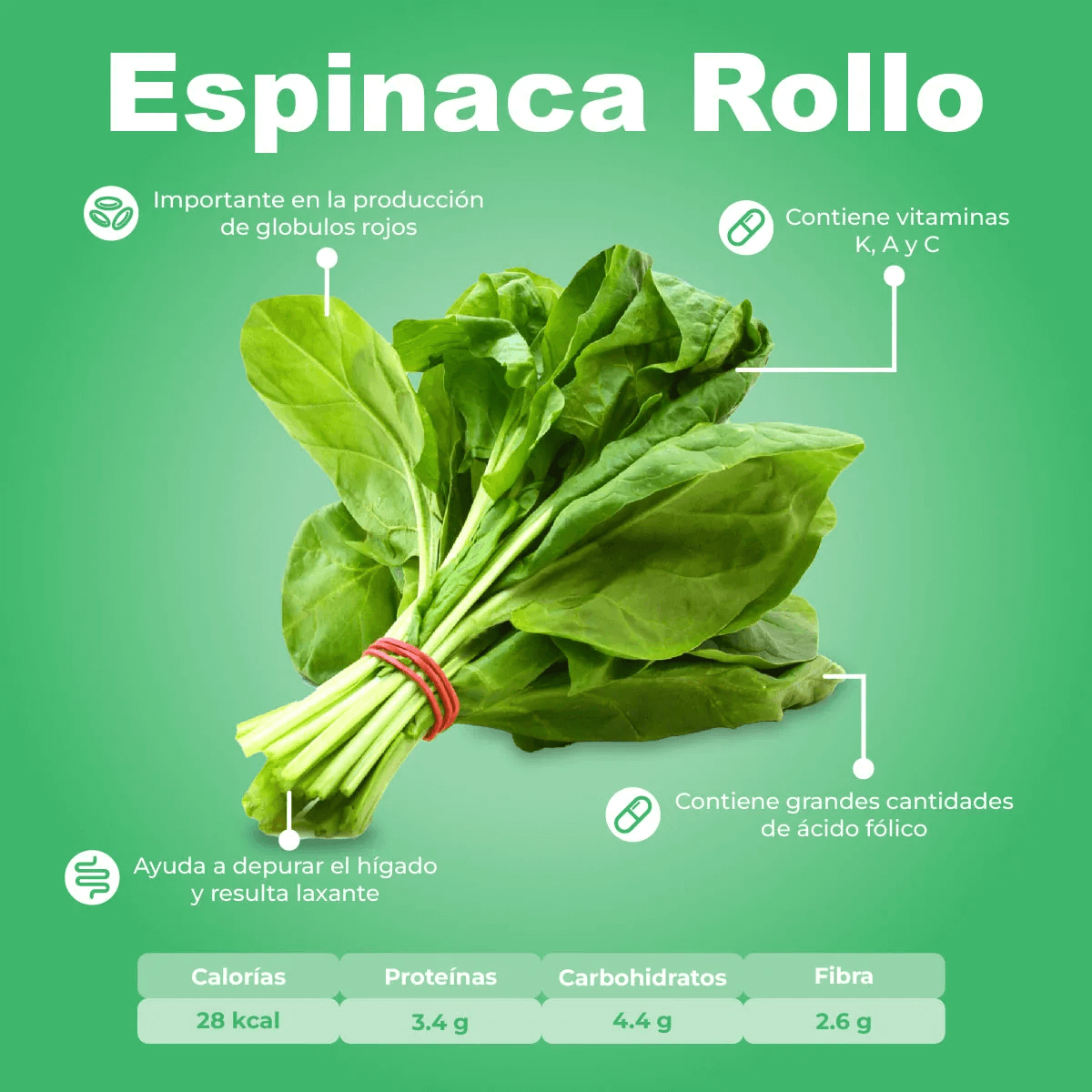 Espinaca en manojo_1