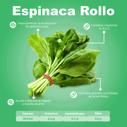 Espinaca en manojo