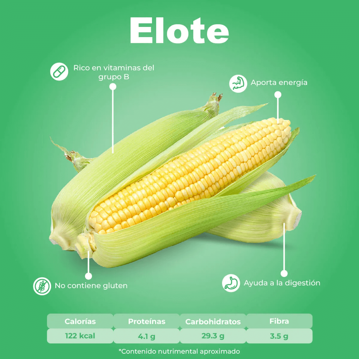 Elote Blanco pieza_1