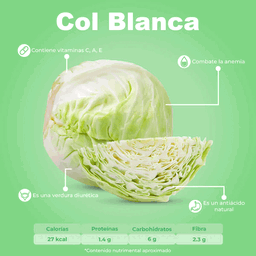 Col Blanca / Repollo