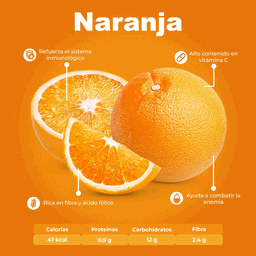 Naranja Valencia