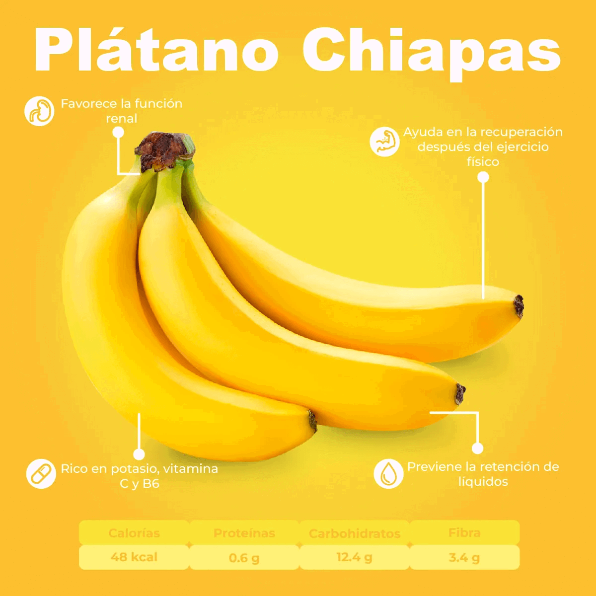 Platano Chiapas_1