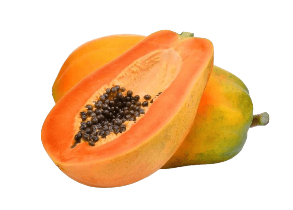 Papaya Marador