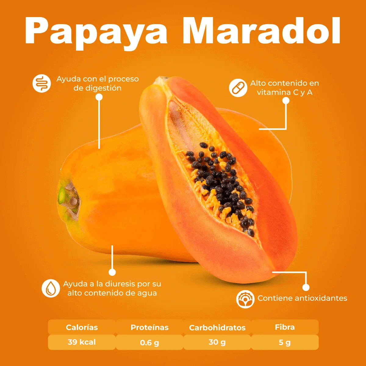 Papaya Marador_1