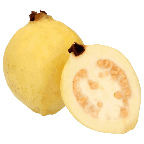 Guayaba_0
