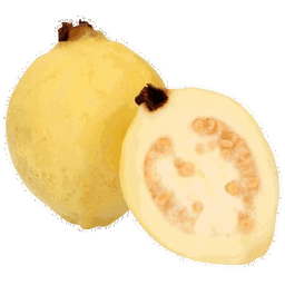Guayaba
