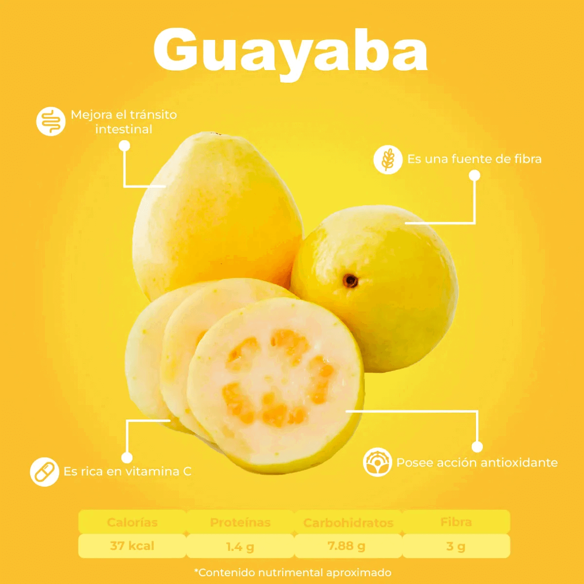 Guayaba_1