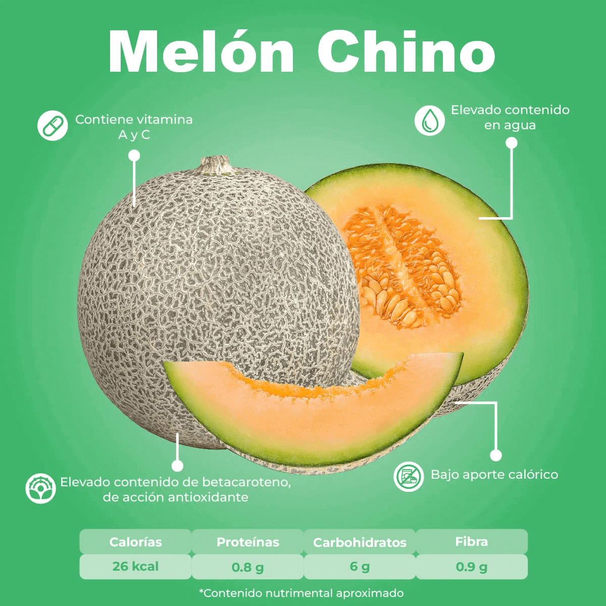 Melón Chino_1