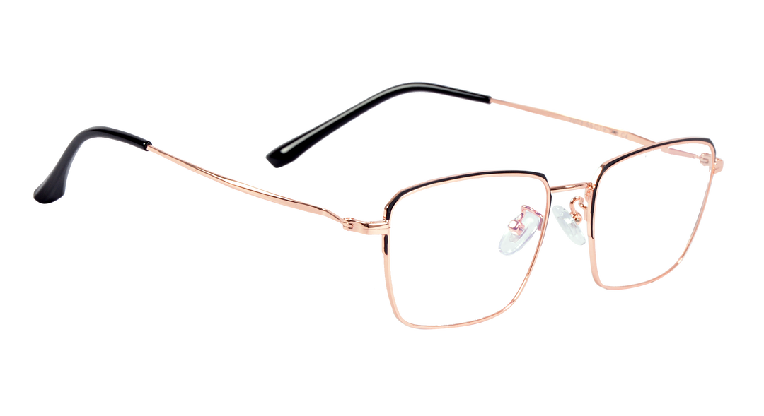 METAL DUO PREMIUM |2005 |Full Rim |Metal |54-21-143