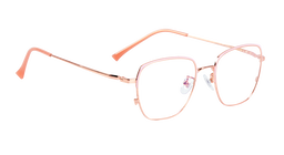 METAL DUO PREMIUM |2006 |Full Rim |Metal |RGOLD-Metal |53-20-146