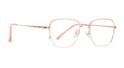METAL DUO PREMIUM |2006 |Full Rim |Metal |RGOLD-Metal |53-20-146