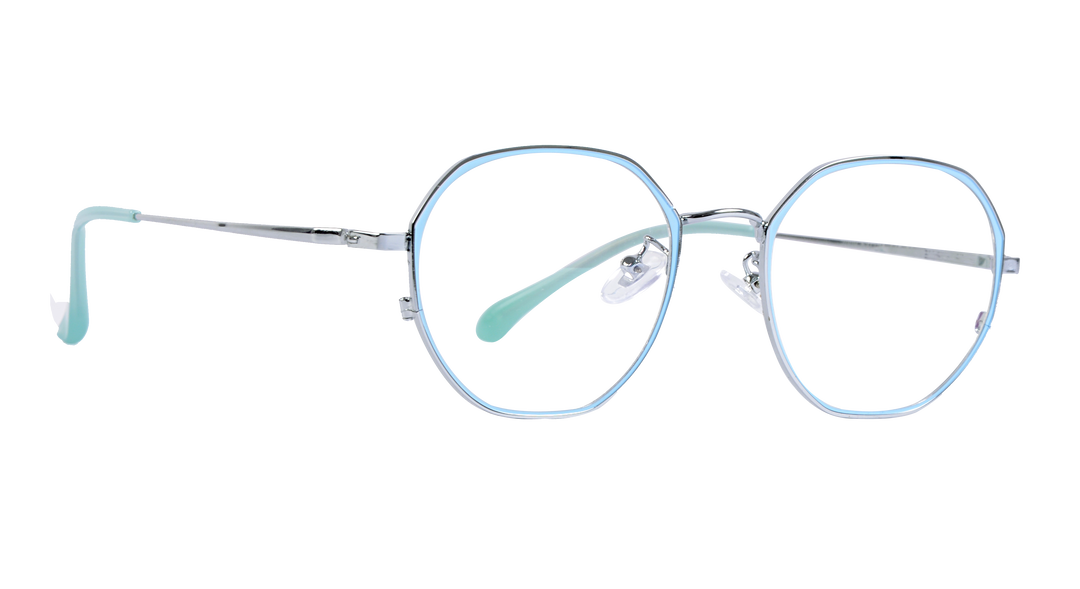 METAL DUO PREMIUM |2009 |Full Rim |Metal |SILVER-Metal |53-21-145
