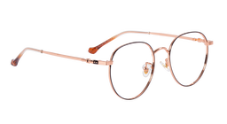 NOW ROUND NEW 25M 16_800 |7731 |Full Rim |Metal |RGOLD-Metal |50-18-145