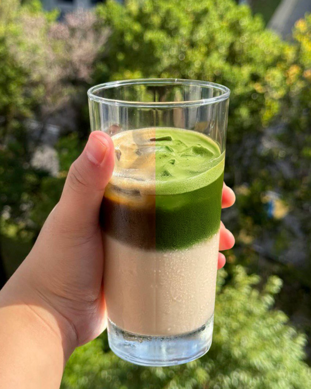 matcha / hojicha latte_0